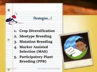 Strategies…!
21
7 February 2017 Dept. Genetics And Plant Breeding
 