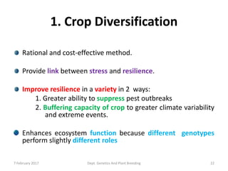 1. Crop Diversification
Rational and cost-effective method.
Provide link between stress and resilience.
Improve resilience in a variety in 2 ways:
1. Greater ability to suppress pest outbreaks
2. Buffering capacity of crop to greater climate variability
and extreme events.
Enhances ecosystem function because different genotypes
perform slightly different roles
7 February 2017 22Dept. Genetics And Plant Breeding
 