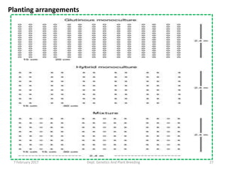 Planting arrangements
277 February 2017 Dept. Genetics And Plant Breeding
 