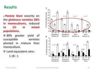 Results
Panicle blast severity on
the glutinous varieties 20%
in monocultures, reduced
to 1% in mixed
populations.
89% greater yield of
susceptible varieties
planted in mixture than
monoculture.
Land equivalent ratio :
1.18 : 1
7 February 2017 Dept. Genetics And Plant Breeding 28
 