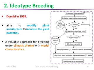 7 February 2017 Dept. Genetics And Plant Breeding 30
 Donald in 1968.
 aims to modify plant
architecture to increase the yield
potential.
 A valuable approach for breeding
under climatic change with model
characteristics .
2. Ideotype Breeding
 