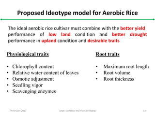 7 February 2017 Dept. Genetics And Plant Breeding 33
Proposed Ideotype model for Aerobic Rice
The ideal aerobic rice cultivar must combine with the better yield
performance of low land condition and better drought
performance in upland condition and desirable traits
Physiological traits
• Chlorophyll content
• Relative water content of leaves
• Osmotic adjustment
• Seedling vigor
• Scavenging enzymes
Root traits
• Maximum root length
• Root volume
• Root thickness
 