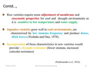 7 February 2017 Dept. Genetics And Plant Breeding 34
Rice varieties require some adjustment of membrane and
enzymatic properties for cool and drought environments as
it is sensitive to low temperature and water supply.
Japonica varieties grow well in cool environments, are
characterized by low stomata frequency and produce dense,
thick leaves (Yoshida and Ono, 1978).
Incorporation of these characteristics in new varieties would
provide: - drought resistance (fewer stomata, increased
cuticular resistance)
(Parthasarathi et al., 2012).
Contd…,
 