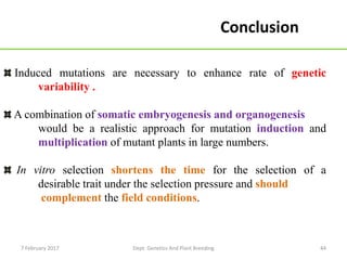 44
Induced mutations are necessary to enhance rate of genetic
variability .
A combination of somatic embryogenesis and organogenesis
would be a realistic approach for mutation induction and
multiplication of mutant plants in large numbers.
In vitro selection shortens the time for the selection of a
desirable trait under the selection pressure and should
complement the field conditions.
Conclusion
7 February 2017 Dept. Genetics And Plant Breeding
 