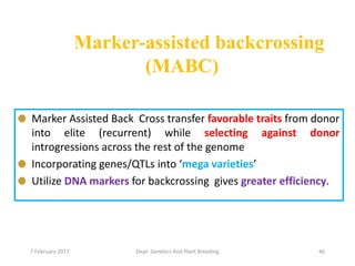 Marker-assisted backcrossing
(MABC)
Marker Assisted Back Cross transfer favorable traits from donor
into elite (recurrent) while selecting against donor
introgressions across the rest of the genome
Incorporating genes/QTLs into ‘mega varieties’
Utilize DNA markers for backcrossing gives greater efficiency.
467 February 2017 Dept. Genetics And Plant Breeding
 