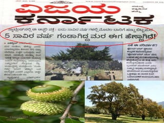 7 February 2017 5Dept. Genetics And Plant Breeding
 