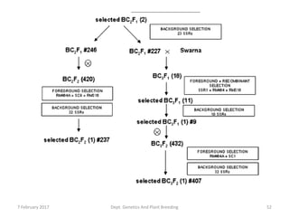 7 February 2017 Dept. Genetics And Plant Breeding 52
 