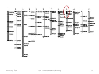 7 February 2017 Dept. Genetics And Plant Breeding 53
 