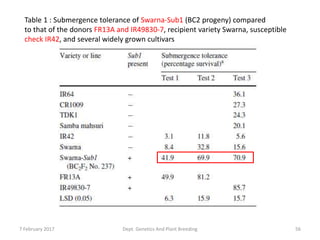 7 February 2017 Dept. Genetics And Plant Breeding 56
Table 1 : Submergence tolerance of Swarna-Sub1 (BC2 progeny) compared
to that of the donors FR13A and IR49830-7, recipient variety Swarna, susceptible
check IR42, and several widely grown cultivars
 