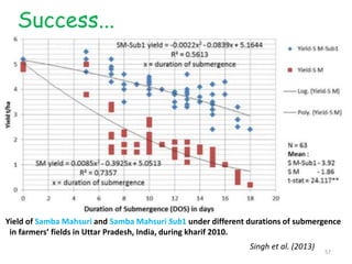 Yield of Samba Mahsuri and Samba Mahsuri Sub1 under different durations of submergence
in farmers’ fields in Uttar Pradesh, India, during kharif 2010.
Singh et al. (2013)
Success...
57
 