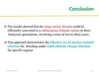 58
Conclusion
The results showed that the mega variety Swarna could be
efficiently converted to a submergence tolerant variety in three
backcross generations, involving a time of two to three years.
This approach demonstrates the effective use of marker assisted
selection for breeding under rapid climatic change situation
for specific regions
7 February 2017 Dept. Genetics And Plant Breeding
 
