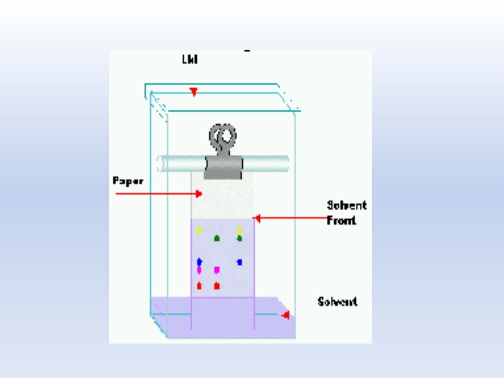 Presentation on principle of paper chromatography and Rf Value