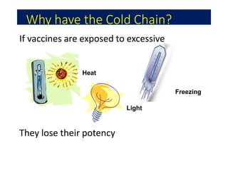 Why have the Cold Chain?
If vaccines are exposed to excessive
They lose their potency
Heat
Freezing
Light
 