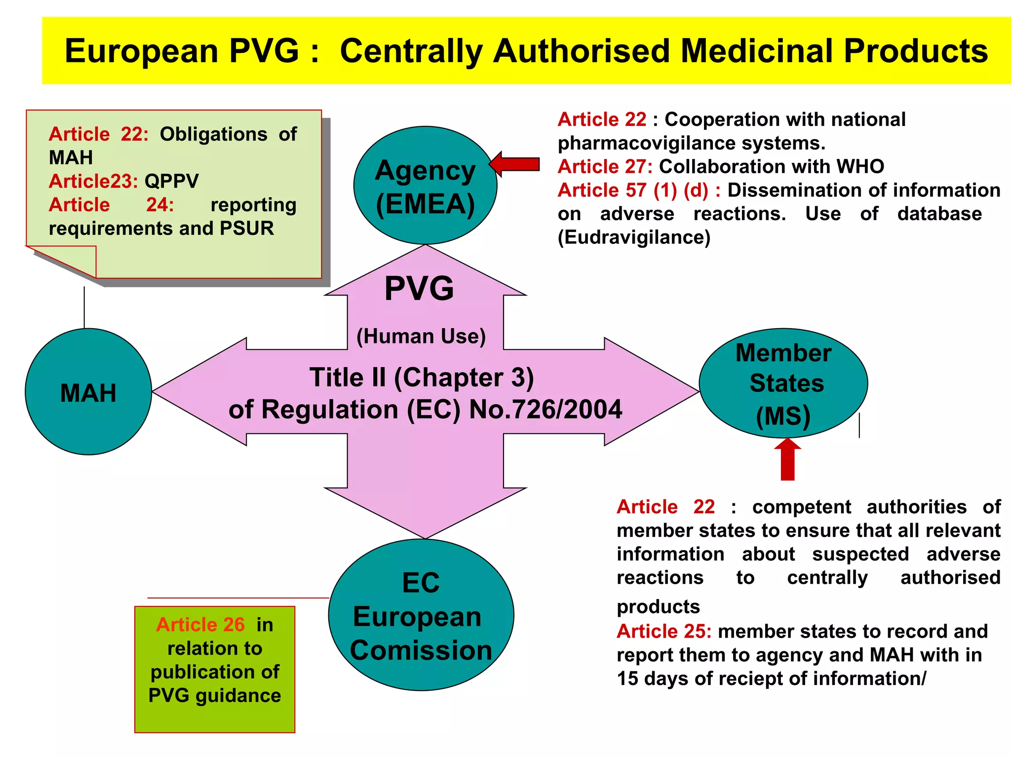 European PVG :  Centrally Authorised Medicinal Products Title II (Chapter 3)  of Regulation (EC) No.726/2004 Agency (EMEA) MAH EC European  Comission Member States (MS ) Article 26  in relation to publication of PVG guidance Article 22:  Obligations of MAH Article23:  QPPV Article 24:  reporting requirements and PSUR PVG (Human Use)   Article 22   : Cooperation with national pharmacovigilance systems. Article 27:  Collaboration with WHO Article 57 (1) (d) :  Dissemination of information on adverse reactions. Use of database  (Eudravigilance) Article 22   : competent authorities of member states to ensure that all relevant information about suspected adverse reactions to centrally authorised products   Article 25:  member states to record and report them to agency and MAH with in 15 days of reciept of information/ 