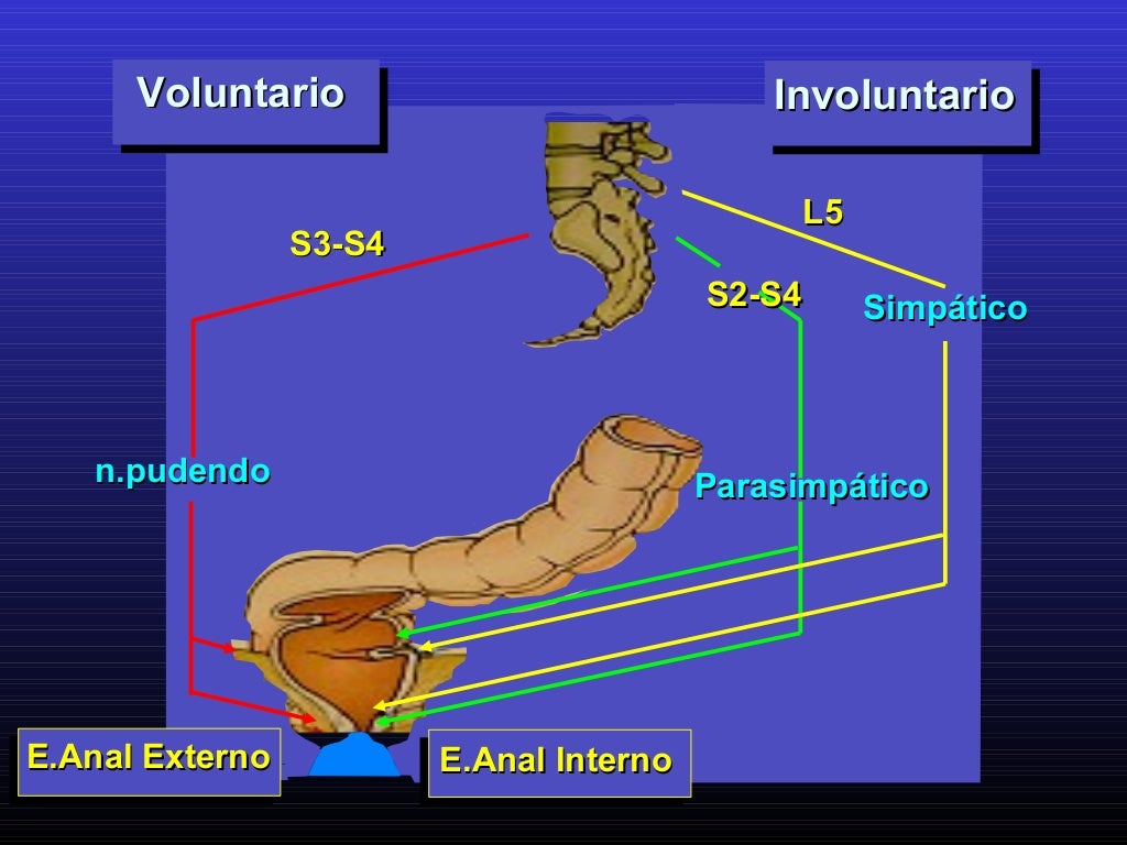 Manometria Anorretal Onde Fazer Sp Manometria Anorectal Quito