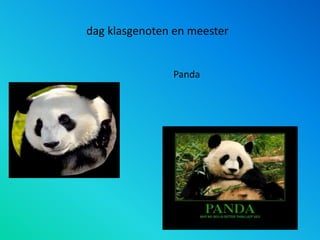 dag klasgenoten en meester
Panda
 