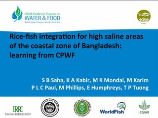 Rice-­‐ﬁsh	
  integra/on	
  for	
  high	
  saline	
  areas	
  
of	
  the	
  coastal	
  zone	
  of	
  Bangladesh:	
  	
  
learning	
  from	
  CPWF	
  
	
  
	
  
	
  
S	
  B	
  Saha,	
  K	
  A	
  Kabir,	
  M	
  K	
  Mondal,	
  M	
  Karim	
  
P	
  L	
  C	
  Paul,	
  M	
  Phillips,	
  E	
  Humphreys,	
  T	
  P	
  Tuong	
  	
  
 