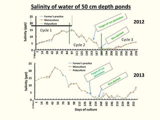 Rice-fish integration for high saline areas of the coastal zone of Bangladesh: learning from CPWF