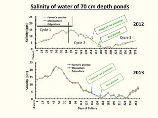 Rice-fish integration for high saline areas of the coastal zone of Bangladesh: learning from CPWF