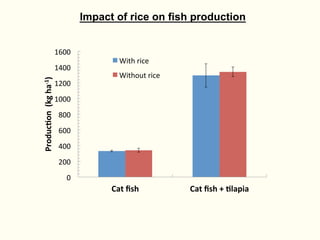 Rice-fish integration for high saline areas of the coastal zone of Bangladesh: learning from CPWF