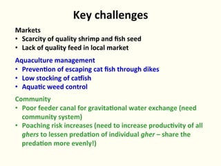 Rice-fish integration for high saline areas of the coastal zone of Bangladesh: learning from CPWF