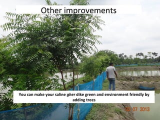Rice-fish integration for high saline areas of the coastal zone of Bangladesh: learning from CPWF