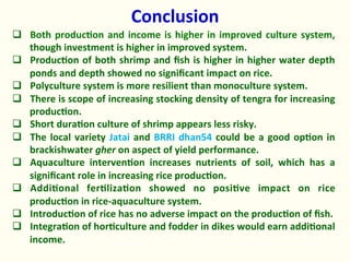 Rice-fish integration for high saline areas of the coastal zone of Bangladesh: learning from CPWF