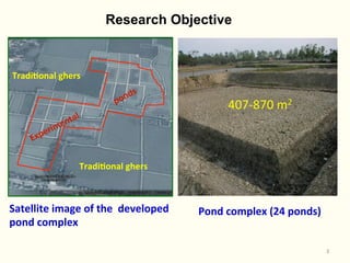Rice-fish integration for high saline areas of the coastal zone of Bangladesh: learning from CPWF