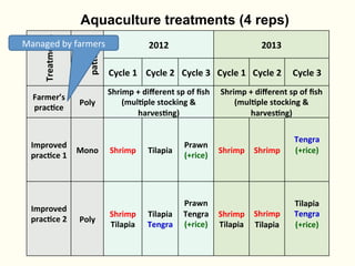Rice-fish integration for high saline areas of the coastal zone of Bangladesh: learning from CPWF