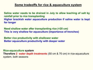 Rice-fish integration for high saline areas of the coastal zone of Bangladesh: learning from CPWF