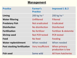 Rice-fish integration for high saline areas of the coastal zone of Bangladesh: learning from CPWF