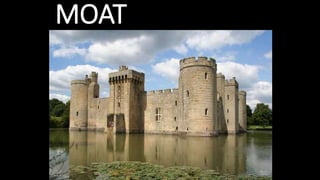 MOAT
 