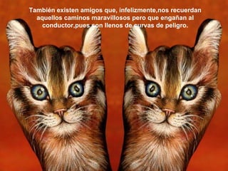 También existen amigos que, infelizmente,nos recuerdan aquellos caminos maravillosos pero que engañan al conductor,pues son llenos de curvas de peligro. 