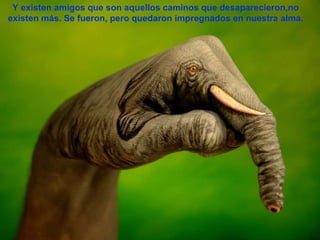 Y existen amigos que son aquellos caminos que desaparecieron,no existen más. Se fueron, pero quedaron impregnados en nuestra alma. 