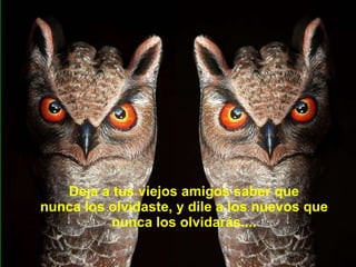 Deja a tus viejos amigos saber que nunca los olvidaste, y dile a los nuevos que nunca los olvidarás.... 