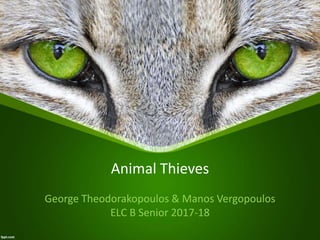 Animal Thieves
George Theodorakopoulos & Manos Vergopoulos
ELC B Senior 2017-18
 