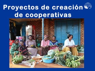 Proyectos de creación
   de cooperativas
 