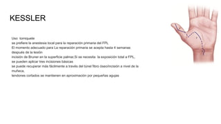 Brunner Incision Han MANO TRAUMATICA CASO CLINICO PARA DISCUCION.pptx
