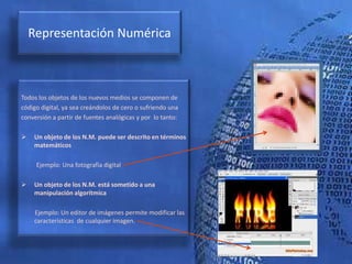 Y un doctorado en estudios visuales y culturales en la Universidad de Rochester (1993)