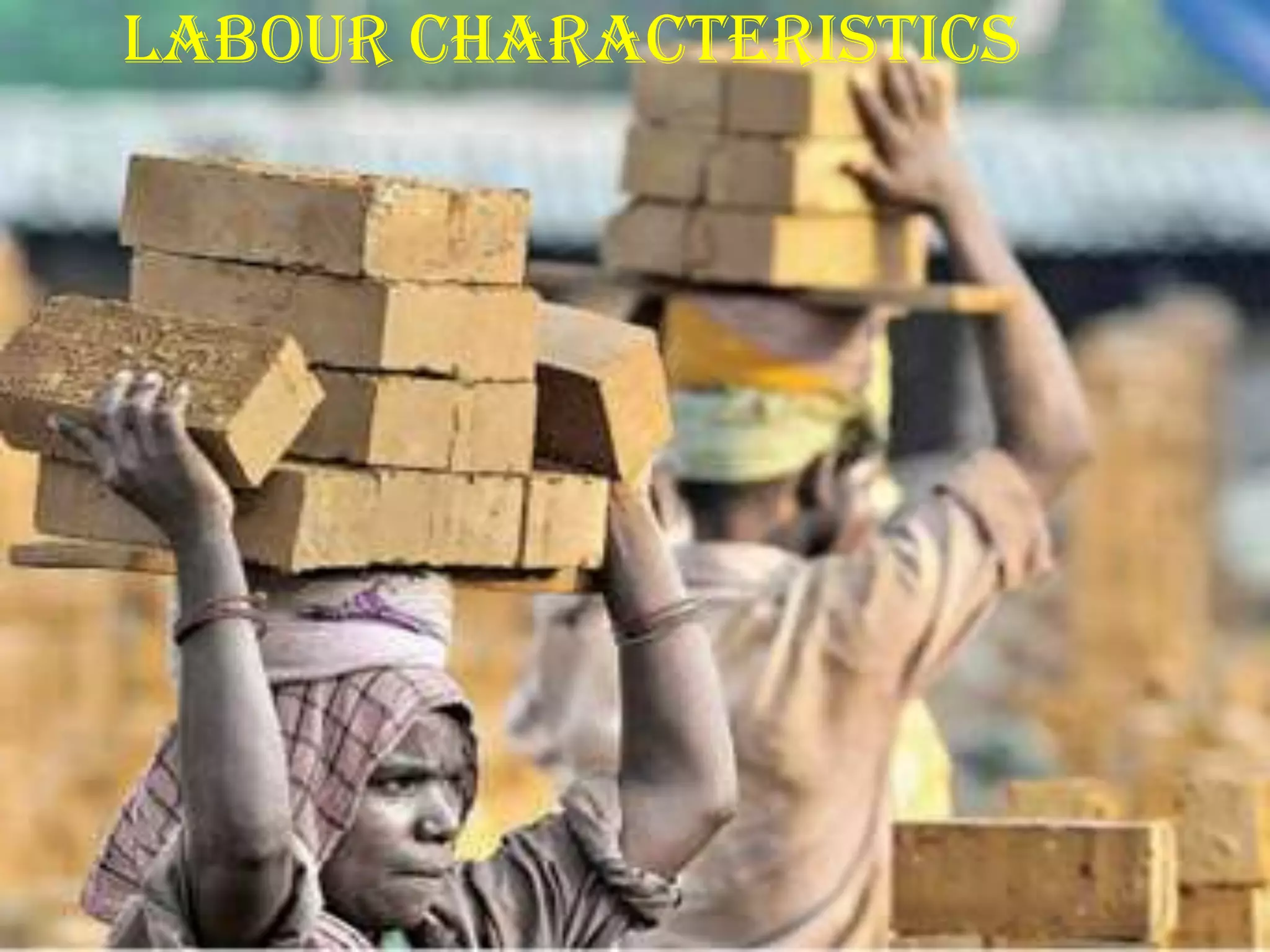 Labour characteristics

 