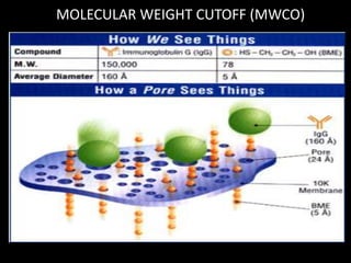 Membrane filtration technology in food engg. | PPTX