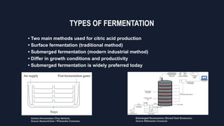 Industrial Production of Citric Acid via Microbial Fermentation ...
