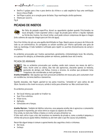 ENGENHARIA Página 95
PRIMEIROS SOCORROS
• Desfira 5 golpes para cima e para dentro da vítima e a cada seqüência faça uma ventilação
boca-a-boca (Fig8).
• Verifique o pulso, se o coração parar de bater, faça reanimação cárdio-pulmonar.
• Chame por socorro.
fig 8
PICADAS DE INSETOS
Na falta de pomada específica, álcool ou aguardente ajudam quando friccionados no
local atingido. É bom espremer antes o lugar da picada para retirar o líquido injetado
ou ferrão dos insetos. Se o local inchar, você pode colocar compressas de água e vinagre
(três colheres de sopa de vinagre para um litro de água).
Para tirar bichos-do-pé use uma agulha desinfetada no fogo. Depois passe um pouco de tintura de
iodo ou um antimicótico. Os carrapatos se soltam sozinhos por inteiro aplicando uma gota de
iodo ou manteiga. O iodo também é utilizado para repelir os acarinos (transmissores da sarna) e
os piolhos.
Os acidentes provocados por insetos apresentam, geralmente, sintomatologia local. No entanto,
se a pessoa for alérgica, as dimensões podem ser maiores, podendo levar até à morte.
PICADA DE ARANHAS
São os acidentes provocados por aranhas, sendo mais comuns nos meses de abril e
maio. Assim como as cobras, elas não são agressivas, atacando apenas se molesta,
gostando de abrigos sob folhas, troncos e árvores. As aranhas que produzem teias
irregulares são consideradas as mais perigosas.
Aranha Armadeira : São aquelas que mais provocam acidentes em nosso país, pois costumam viver
em residências, terrenos baldios e bananeiras.
Quando atacadas, não fogem ,apoiam-se nas patas traseiras, "armando-se" para saltos de até
30cm. Durante o dia vivem no escuro, saindo à noite para alimentar-se. Não constroem teias.
Os acidentes provocam:
• Dor local intensa, que pode-se irradiar-se.
• Suor frio e vômitos.
• Visão turva.
• Agitação.
• Convulsões em crianças.
Aranha Marrom : Também de hábitos noturnos, essa pequena aranha não é agressiva e comumente
pica quando é espremida, por estar entre as roupas ou sapatos da vítima.
Vive ainda, no meio das folhas e tijolos e à noite sai para alimentar-se.
O fato mais sério é que a dor não acontece no momento da picada e, como a aranha é pequena, a
vítima não procura ajuda médica imediata ou até nem sabe o que lhe causou tal problema.
Decorrido algum tempo é comum o aparecimento dos seguintes sinais e sintomas:
• Dor local.
• Inchaço
 