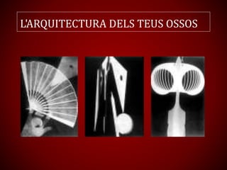 L'ARQUITECTURA DELS TEUS OSSOS
 
