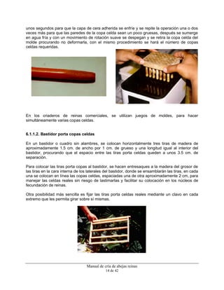 Manual de cría de abejas reinas
14 de 42
unos segundos para que la capa de cera adherida se enfríe y se repite la operación una o dos
veces más para que las paredes de la copa celda sean un poco gruesas, después se sumerge
en agua fría y con un movimiento de rotación suave se despegan y se retira la copa celda del
molde procurando no deformarla, con el mismo procedimiento se hará el número de copas
celdas requeridas.
En los criaderos de reinas comerciales, se utilizan juegos de moldes, para hacer
simultáneamente varias copas celdas.
6.1.1.2. Bastidor porta copas celdas
En un bastidor o cuadro sin alambres, se colocan horizontalmente tres tiras de madera de
aproximadamente 1.5 cm. de ancho por 1 cm. de grueso y una longitud igual al interior del
bastidor, procurando que el espacio entre las tiras porta celdas queden a unos 3.5 cm. de
separación.
Para colocar las tiras porta copas al bastidor, se hacen entresaques a la madera del grosor de
las tiras en la cara interna de los laterales del bastidor, donde se ensamblarán las tiras, en cada
una se colocan en línea las copas celdas, espaciadas una de otra aproximadamente 2 cm, para
manejar las celdas reales sin riesgo de lastimarlas y facilitar su colocación en los núcleos de
fecundación de reinas.
Otra posibilidad más sencilla es fijar las tiras porta celdas reales mediante un clavo en cada
extremo que les permita girar sobre sí mismas.
 