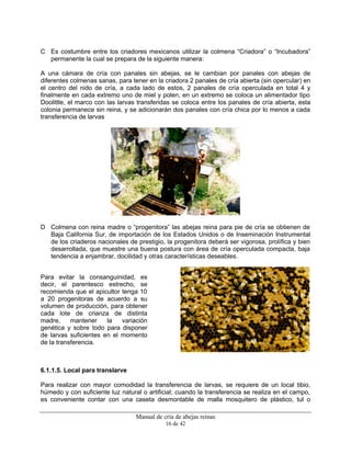 Manual de cría de abejas reinas
16 de 42
C Es costumbre entre los criadores mexicanos utilizar la colmena “Criadora” o “Incubadora”
permanente la cual se prepara de la siguiente manera:
A una cámara de cría con panales sin abejas, se le cambian por panales con abejas de
diferentes colmenas sanas, para tener en la criadora 2 panales de cría abierta (sin opercular) en
el centro del nido de cría, a cada lado de estos, 2 panales de cría operculada en total 4 y
finalmente en cada extremo uno de miel y polen, en un extremo se coloca un alimentador tipo
Doolittle, el marco con las larvas transferidas se coloca entre los panales de cría abierta, esta
colonia permanece sin reina, y se adicionarán dos panales con cría chica por lo menos a cada
transferencia de larvas
D Colmena con reina madre o “progenitora” las abejas reina para pie de cría se obtienen de
Baja California Sur, de importación de los Estados Unidos o de Inseminación Instrumental
de los criaderos nacionales de prestigio, la progenitora deberá ser vigorosa, prolífica y bien
desarrollada, que muestre una buena postura con área de cría operculada compacta, baja
tendencia a enjambrar, docilidad y otras características deseables.
Para evitar la consanguinidad, es
decir, el parentesco estrecho, se
recomienda que el apicultor tenga 10
a 20 progenitoras de acuerdo a su
volumen de producción, para obtener
cada lote de crianza de distinta
madre, mantener la variación
genética y sobre todo para disponer
de larvas suficientes en el momento
de la transferencia.
6.1.1.5. Local para translarve
Para realizar con mayor comodidad la transferencia de larvas, se requiere de un local tibio,
húmedo y con suficiente luz natural o artificial; cuando la transferencia se realiza en el campo,
es conveniente contar con una caseta desmontable de malla mosquitero de plástico, tul o
 
