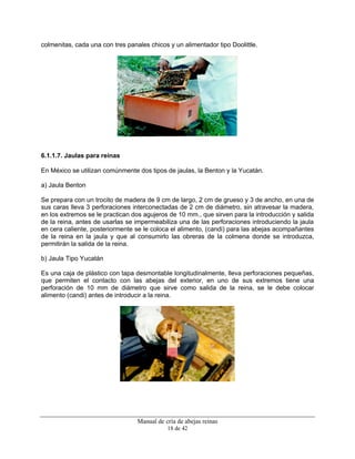 Manual de cría de abejas reinas
18 de 42
colmenitas, cada una con tres panales chicos y un alimentador tipo Doolittle.
6.1.1.7. Jaulas para reinas
En México se utilizan comúnmente dos tipos de jaulas, la Benton y la Yucatán.
a) Jaula Benton
Se prepara con un trocito de madera de 9 cm de largo, 2 cm de grueso y 3 de ancho, en una de
sus caras lleva 3 perforaciones interconectadas de 2 cm de diámetro, sin atravesar la madera,
en los extremos se le practican dos agujeros de 10 mm., que sirven para la introducción y salida
de la reina, antes de usarlas se impermeabiliza una de las perforaciones introduciendo la jaula
en cera caliente, posteriormente se le coloca el alimento, (candi) para las abejas acompañantes
de la reina en la jaula y que al consumirlo las obreras de la colmena donde se introduzca,
permitirán la salida de la reina.
b) Jaula Tipo Yucatán
Es una caja de plástico con tapa desmontable longitudinalmente, lleva perforaciones pequeñas,
que permiten el contacto con las abejas del exterior, en uno de sus extremos tiene una
perforación de 10 mm de diámetro que sirve como salida de la reina, se le debe colocar
alimento (candi) antes de introducir a la reina.
 