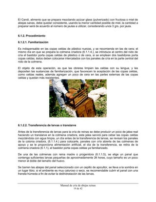 Manual de cría de abejas reinas
19 de 42
El Candi, alimento que se prepara mezclando azúcar glass (pulverizado) con fructosa o miel de
abejas sanas, debe quedar consistente, usando la menor cantidad posible de miel, la cantidad a
preparar será de acuerdo al número de jaulas a utilizar, considerando unos 3 grs. por jaula.
6.1.2. Procedimiento
6.1.2.1. Familiarización
Es indispensable en las copas celdas de plástico nuevas, y se recomienda en las de cera; el
mismo día en que se prepara la colmena criadora (6.1.1.4.), se introduce al centro del nido de
cría el bastidor porta copas celdas de plástico o de cera, si se emplean dos bastidores porta
copas celdas, éstos deben colocarse intercalados con los panales de cría en la parte central del
nido de la colmena.
El objeto de esta operación, es que las obreras limpien las celdas con su lengua, y les
depositen las sustancias de familiarización, que favorecen la aceptación de las copas celdas,
como celdas reales, además agregan un poco de cera en las partes externas de las copas
celdas y quedan más resistentes.
6.1.2.2. Transferencia de larvas o translarve
Antes de la transferencia de larvas para la cría de reinas se debe producir un poco de jalea real
haciendo un translarve en la colmena criadora, esta jalea servirá para cebar las copas celdas
mezclándola con agua limpia, un día antes de la transferencia de larvas, se revisan los panales
de la colonia criadora, (6.1.1.4.) para colocarle, panales con cría abierta de las colmenas de
apoyo y se le proporciona alimentación artificial, el día de la transferencia, se retira de la
colmena criadora (6.1.1), el bastidor porta copas celdas ya familiarizado.
De una de las colmenas con reina madre o progenitora (6.1.1.5), se elige un panal que
contenga suficientes larvas pequeñas de aproximadamente 24 horas, cuyo tamaño es un poco
menor al doble del tamaño del huevo.
Se barren las abejas del panal seleccionado con un cepillo de apicultor, se lleva a la sombra en
un lugar tibio, si el ambiente es muy caluroso o seco, es recomendable cubrir el panal con una
franela húmeda a fin de evitar la deshidratación de las larvas.
 