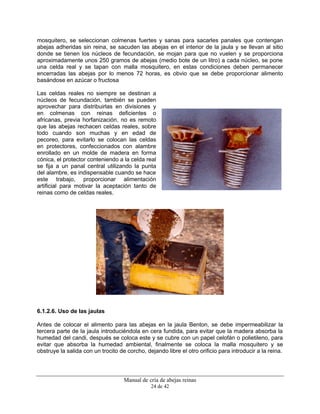 Manual de cría de abejas reinas
24 de 42
mosquitero, se seleccionan colmenas fuertes y sanas para sacarles panales que contengan
abejas adheridas sin reina, se sacuden las abejas en el interior de la jaula y se llevan al sitio
donde se tienen los núcleos de fecundación, se mojan para que no vuelen y se proporciona
aproximadamente unos 250 gramos de abejas (medio bote de un litro) a cada núcleo, se pone
una celda real y se tapan con malla mosquitero, en estas condiciones deben permanecer
encerradas las abejas por lo menos 72 horas, es obvio que se debe proporcionar alimento
basándose en azúcar o fructosa
Las celdas reales no siempre se destinan a
núcleos de fecundación, también se pueden
aprovechar para distribuirlas en divisiones y
en colmenas con reinas deficientes o
africanas, previa horfanización, no es remoto
que las abejas rechacen celdas reales, sobre
todo cuando son muchas y en edad de
pecoreo, para evitarlo se colocan las celdas
en protectores, confeccionados con alambre
enrollado en un molde de madera en forma
cónica, el protector conteniendo a la celda real
se fija a un panal central utilizando la punta
del alambre, es indispensable cuando se hace
este trabajo, proporcionar alimentación
artificial para motivar la aceptación tanto de
reinas como de celdas reales.
6.1.2.6. Uso de las jaulas
Antes de colocar el alimento para las abejas en la jaula Benton, se debe impermeabilizar la
tercera parte de la jaula introduciéndola en cera fundida, para evitar que la madera absorba la
humedad del candi, después se coloca este y se cubre con un papel celofán o polietileno, para
evitar que absorba la humedad ambiental, finalmente se coloca la malla mosquitero y se
obstruye la salida con un trocito de corcho, dejando libre el otro orificio para introducir a la reina.
 