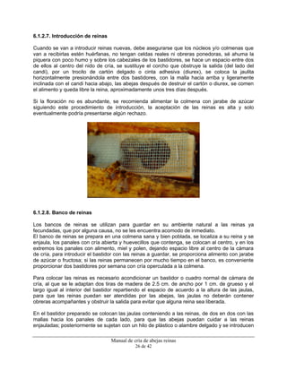 Manual de cría de abejas reinas
26 de 42
6.1.2.7. Introducción de reinas
Cuando se van a introducir reinas nuevas, debe asegurarse que los núcleos y/o colmenas que
van a recibirlas estén huérfanas, no tengan celdas reales ni obreras ponedoras, sé ahuma la
piquera con poco humo y sobre los cabezales de los bastidores, se hace un espacio entre dos
de ellos al centro del nido de cría, se sustituye el corcho que obstruye la salida (del lado del
candi), por un trocito de cartón delgado o cinta adhesiva (diurex), se coloca la jaulita
horizontalmente presionándola entre dos bastidores, con la malla hacia arriba y ligeramente
inclinada con el candi hacia abajo, las abejas después de destruir el cartón o diurex, se comen
el alimento y queda libre la reina, aproximadamente unos tres días después.
Si la floración no es abundante, se recomienda alimentar la colmena con jarabe de azúcar
siguiendo este procedimiento de introducción, la aceptación de las reinas es alta y solo
eventualmente podría presentarse algún rechazo.
6.1.2.8. Banco de reinas
Los bancos de reinas se utilizan para guardar en su ambiente natural a las reinas ya
fecundadas, que por alguna causa, no se les encuentra acomodo de inmediato.
El banco de reinas se prepara en una colmena sana y bien poblada, se localiza a su reina y se
enjaula, los panales con cría abierta y huevecillos que contenga, se colocan al centro, y en los
extremos los panales con alimento, miel y polen, dejando espacio libre al centro de la cámara
de cría, para introducir el bastidor con las reinas a guardar, se proporciona alimento con jarabe
de azúcar o fructosa; si las reinas permanecen por mucho tiempo en el banco, es conveniente
proporcionar dos bastidores por semana con cría operculada a la colmena.
Para colocar las reinas es necesario acondicionar un bastidor o cuadro normal de cámara de
cría, al que se le adaptan dos tiras de madera de 2.5 cm. de ancho por 1 cm. de grueso y el
largo igual al interior del bastidor repartiendo el espacio de acuerdo a la altura de las jaulas,
para que las reinas puedan ser atendidas por las abejas, las jaulas no deberán contener
obreras acompañantes y obstruir la salida para evitar que alguna reina sea liberada.
En el bastidor preparado se colocan las jaulas conteniendo a las reinas, de dos en dos con las
mallas hacia los panales de cada lado, para que las abejas puedan cuidar a las reinas
enjauladas; posteriormente se sujetan con un hilo de plástico o alambre delgado y se introducen
 